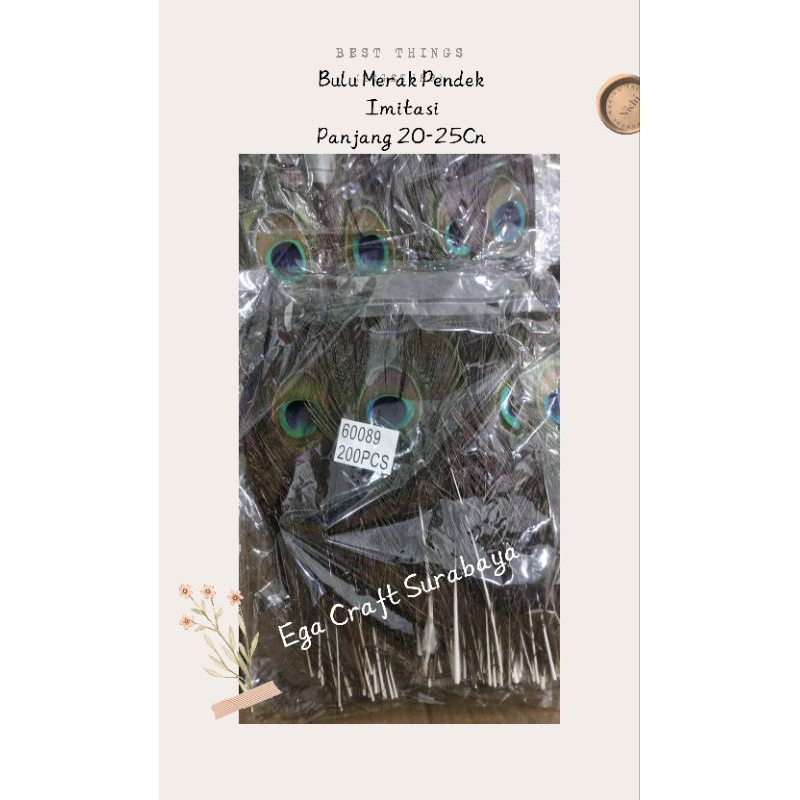 Replika Bulu Merak - Bulu Merak Pendek Imitasi Per Pack Besar