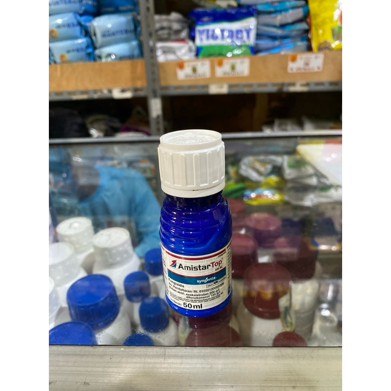 AmistarTop 325 SC