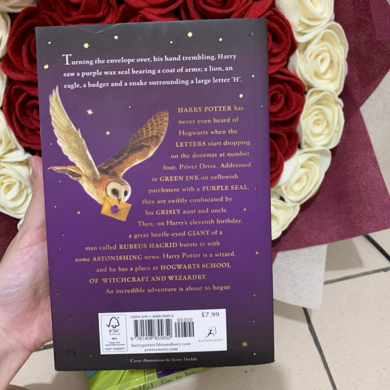 harry potter & the philosopher’s stone