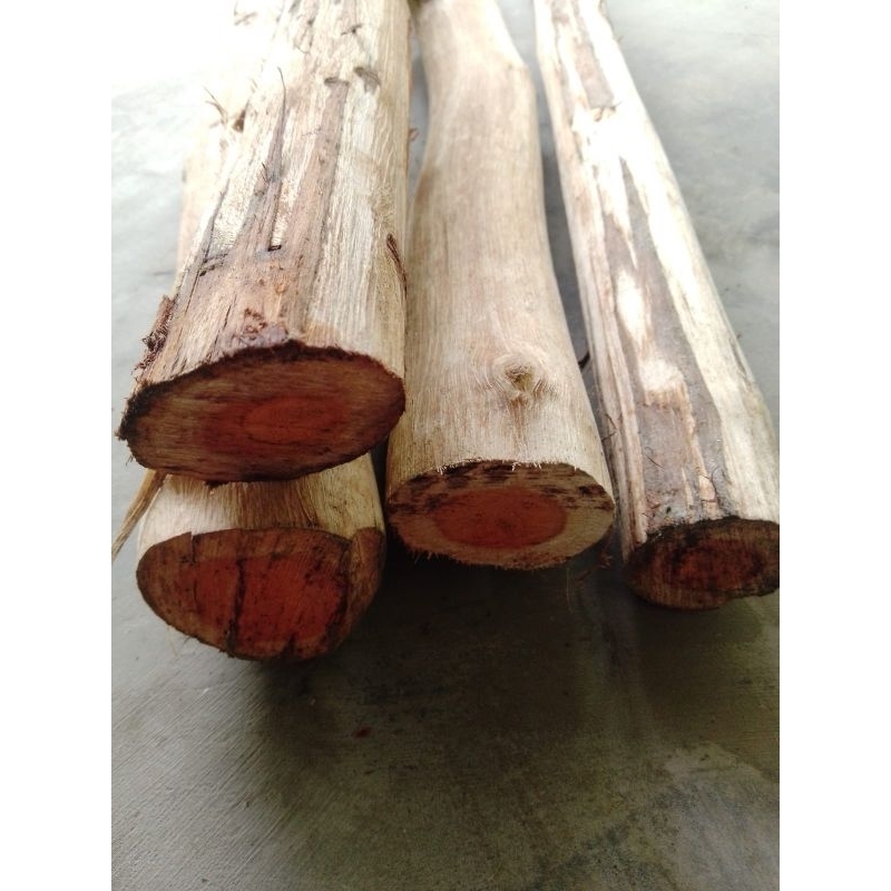 

Kayu Secang Glondongan 1 kg