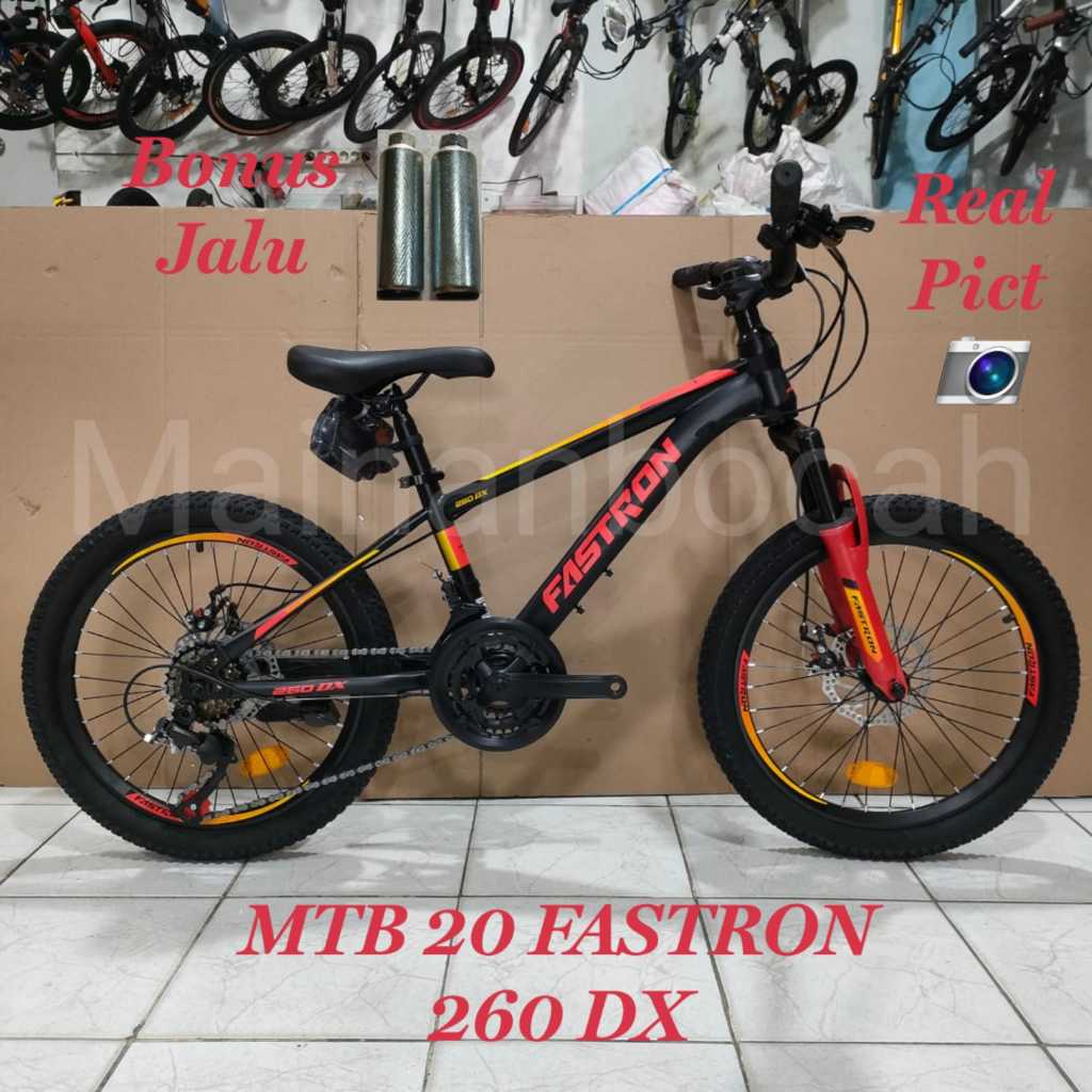 SEPEDA GUNUNG MTB 20 FASTRON 260 DX