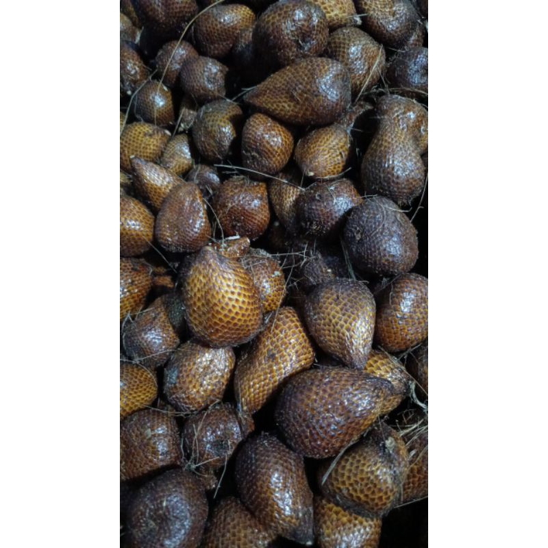 

Salak Pondoh 1kg