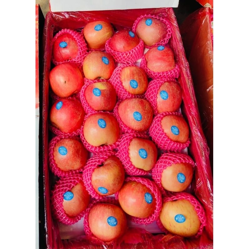 

Apel Fuji fresh manis 2-3 Pcs