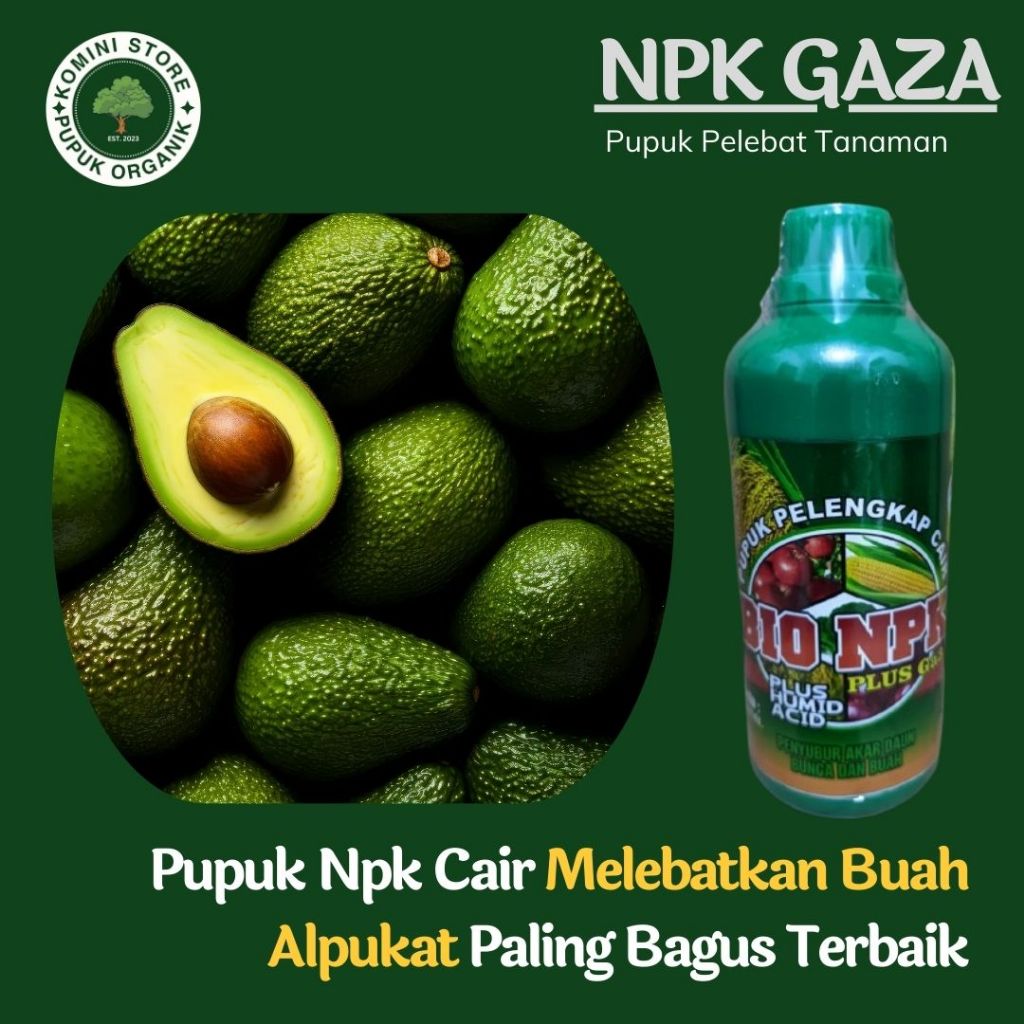 pupuk pelebat penyubur buah alpukat terbaik - NPK GAZA - Obat booster alpukat miki berbuah besar