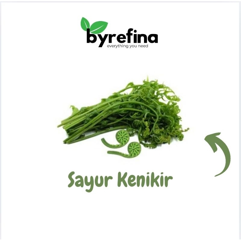 

Sayur Daun Kenikir 1 ikat Fresh Surabaya / Byrefina