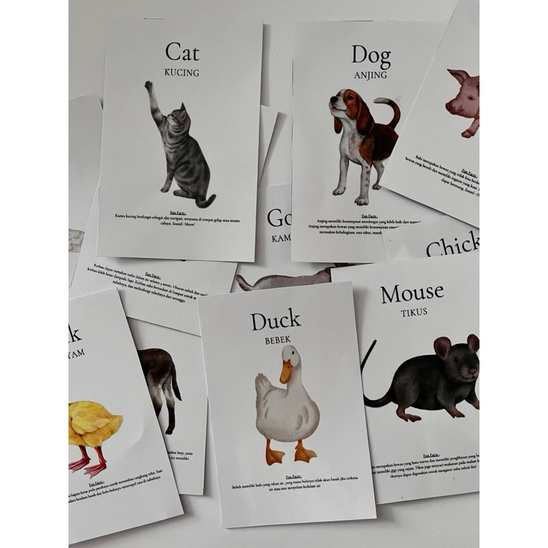 Flashcard—Wild Animals (Bahasa Indonesia & Bahasa Inggris)