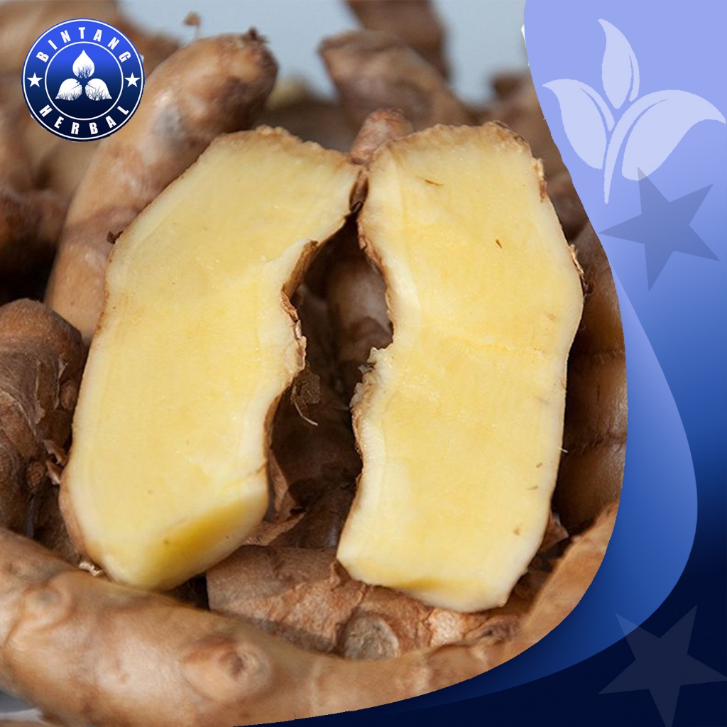 

Kunyit putih\CURCUMA ZEODORIA \ Kunyit Putih Segar 1Kg Koneng Bodas termurah - BINTANG HERBAL