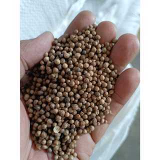 

racun_bangkok.id - (READYSTOK) Ketumbar 100 gram / biji ketumbar