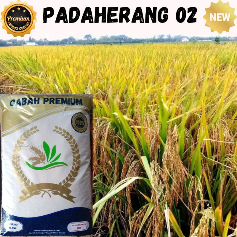 

PADI PADAHERANG 02 - BERAT 5KG
