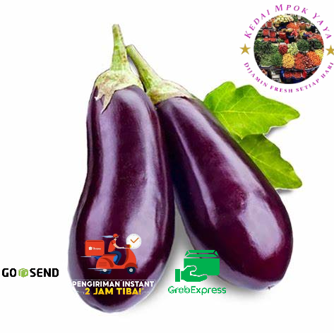 

Kirim Instan Terong Ungu Fresh