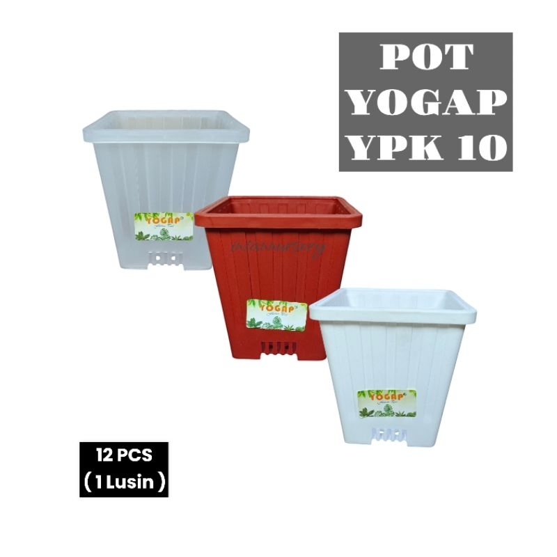 Pot Yogap YPK 10 ( 12 PCS ) Merah Bata Putih Transparan Pot Kotak Pot Tinggi Pot Warna