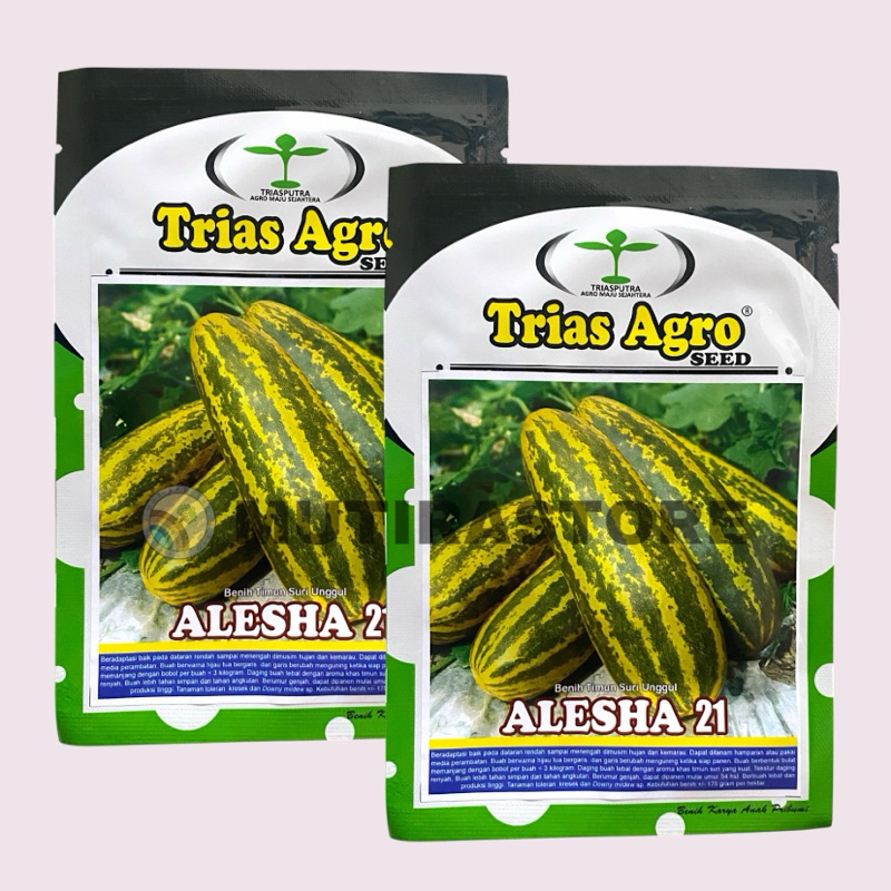 benih timun suri alesha21 isi 10 gram trias agro seed