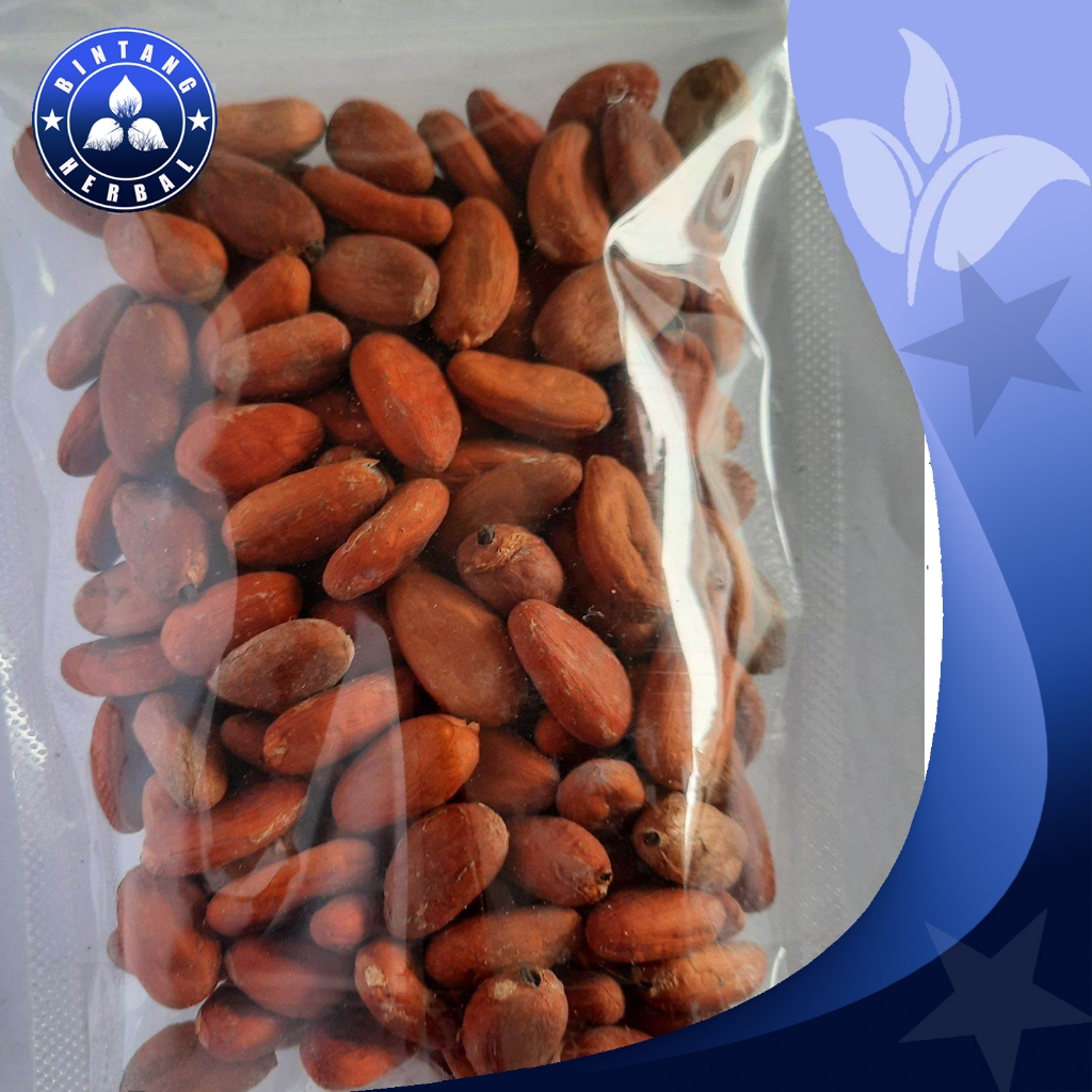 BIJI KAKAO KERING  BIJI COKLAT KERING BERKUALITAS  1KG - BINTANG HERBAL