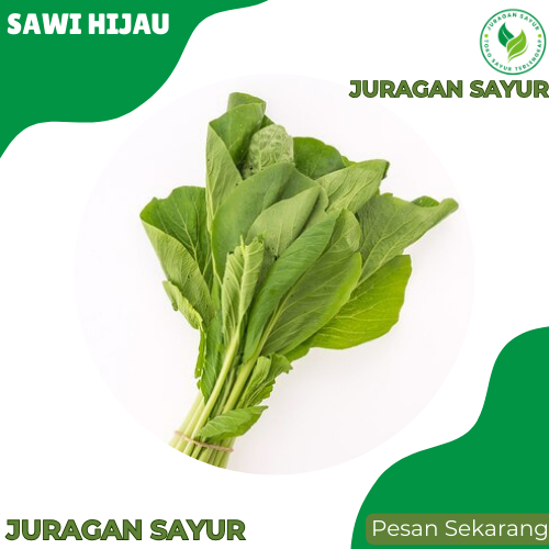 

Sayur Sawi Hijau - Sawi Hijau 1 kg -Sawi Hijau Segar - Juragan Sayur