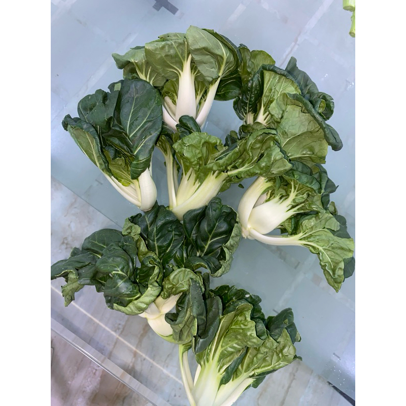 

Nai Bai Cai 1KG