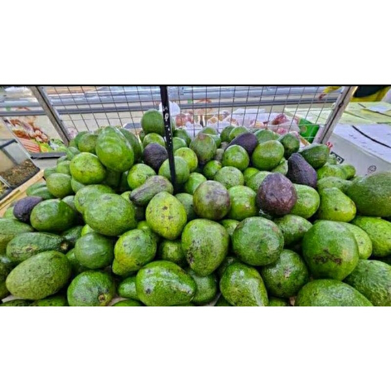 

promo alpukat segar fresh asli 1kg 2biji+bonus