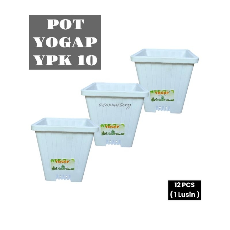 Pot Yogap YPK 10 Putih ( 12 PCS) Pot Tanaman Bunga Pot Kotak Pot Kaktus Pot Tinggi Pot Warna