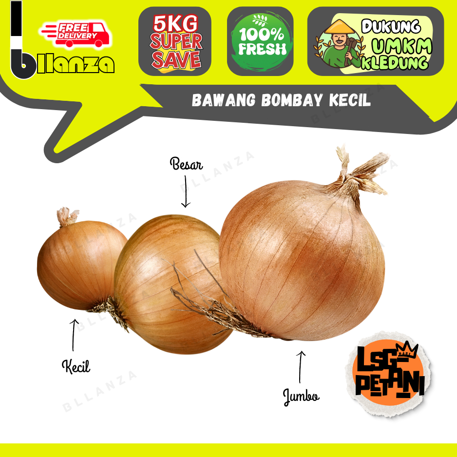 

Bllanza | Bawang Bombay Import (B)