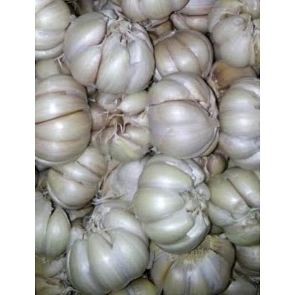 

BAWANG PUTIH BERAT 1 KG FRESH BERAT SESUAI BESAR