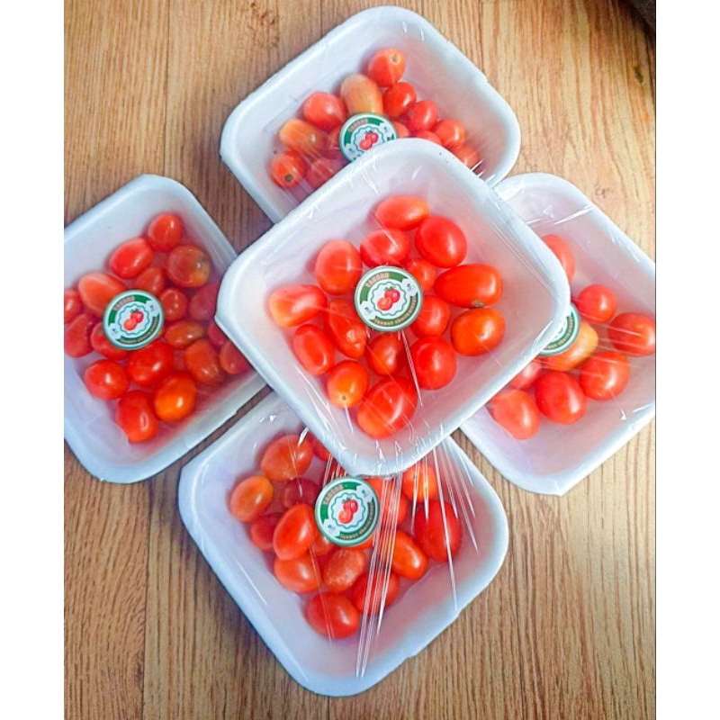 Tomat ceri manis dan segar
