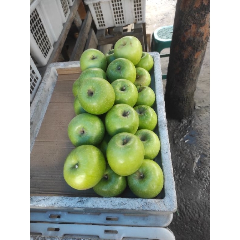 Buah Apel hijau [1Kg]