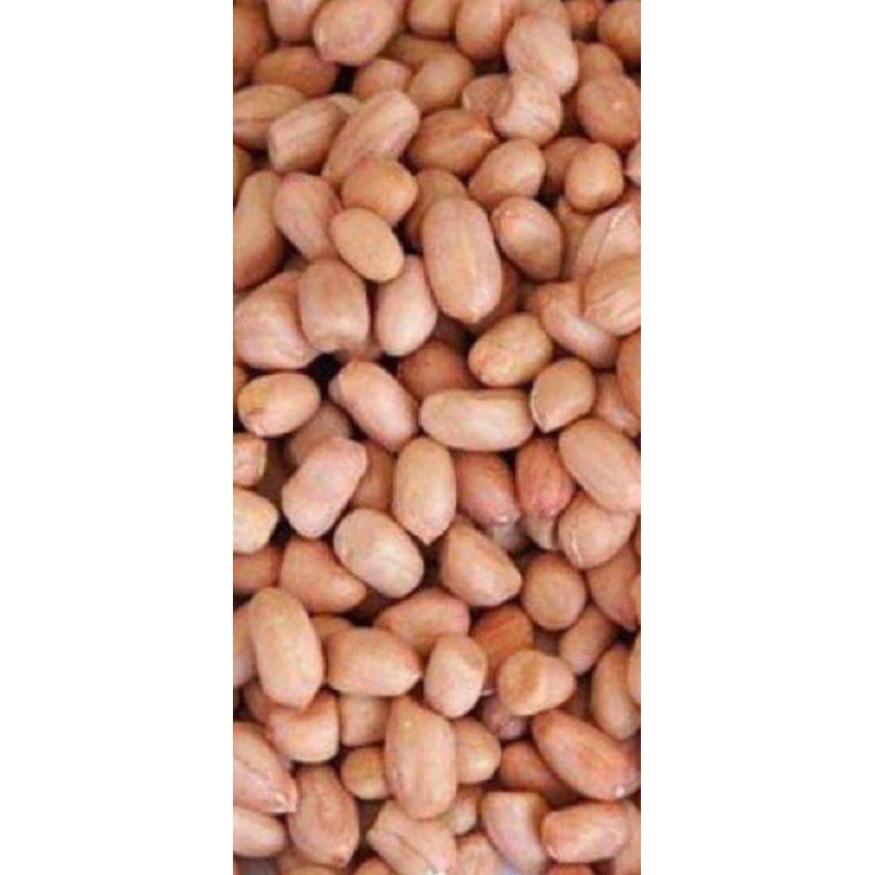 

Kacang Tanah Desa