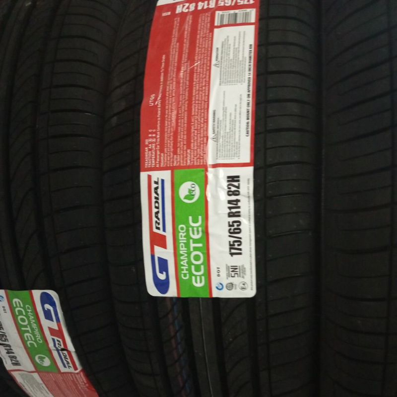 GT 175/65-14 Champiro ecotec