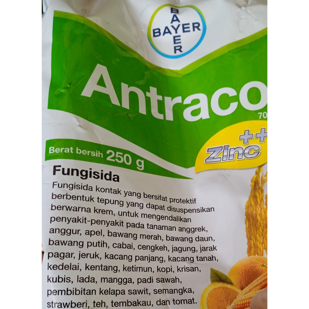 ANTRACOL FUNGISIDA PADI Bayer Antraco + Zinc Fungisida