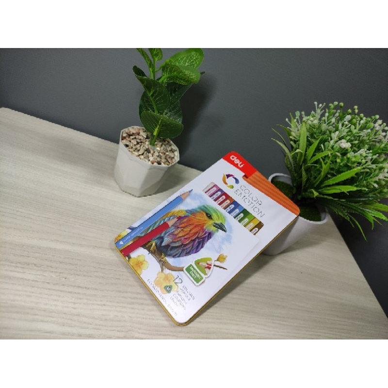

Pensil warna deli C00205