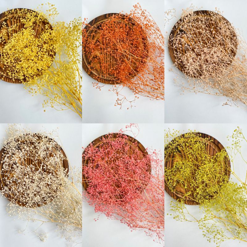 Preserved Million Stars / 10 Gram - GYPSOPHILIA AWET TAHUNAN