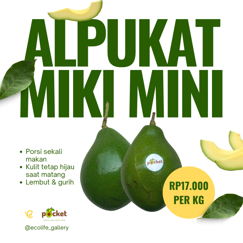 

Alpukat Miki Mini