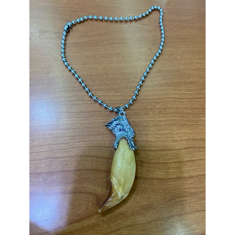 Taring beruang kalung asli