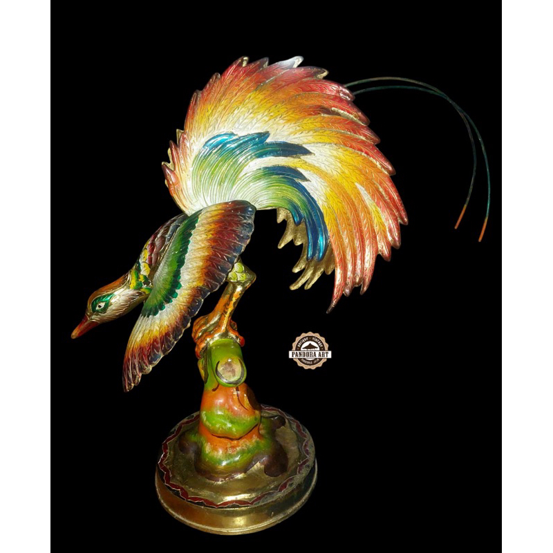 Burung CENDRAWASIH kuningan lawas