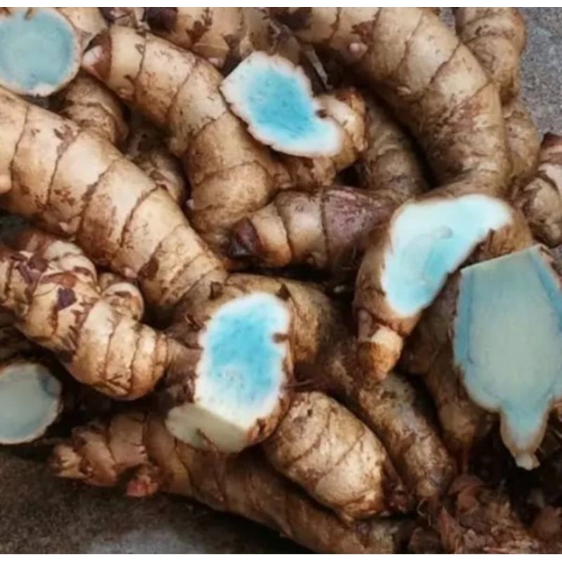 

TEMU HITAM ORGANIK 250 g