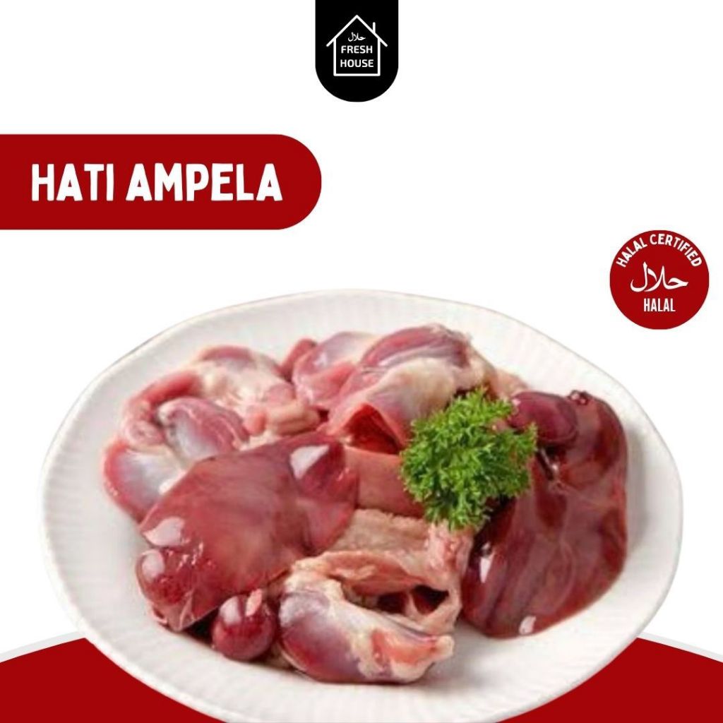 

FROZEN HATI DAN AMPELA AYAM