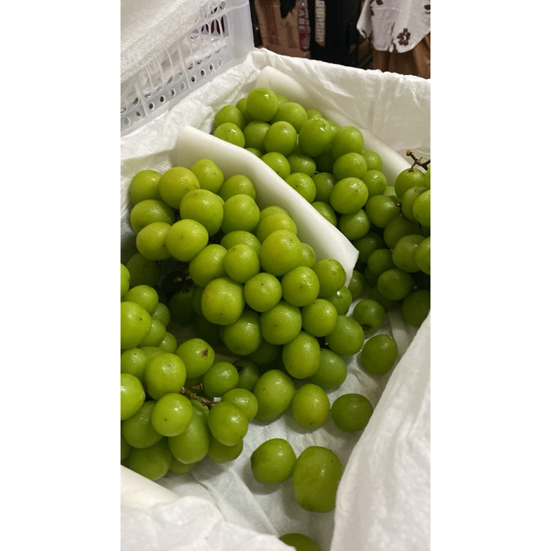 

Anggur muscat krat isi 5kg