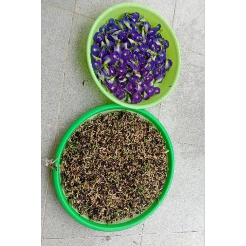 

Bunga Telang kering atau Butterfly Pea