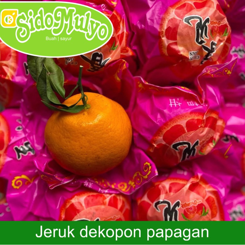 

Buah Jeruk dekopon papagan fresh ( manis ) 1 kg | ud sidomulyo fresh