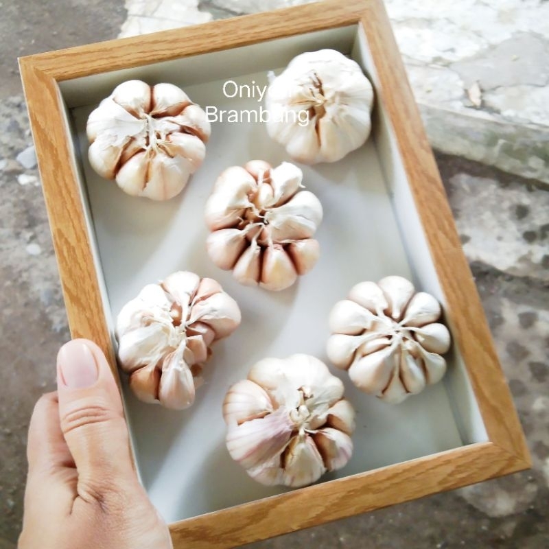 

Bawang Putih Bersih 250 gram