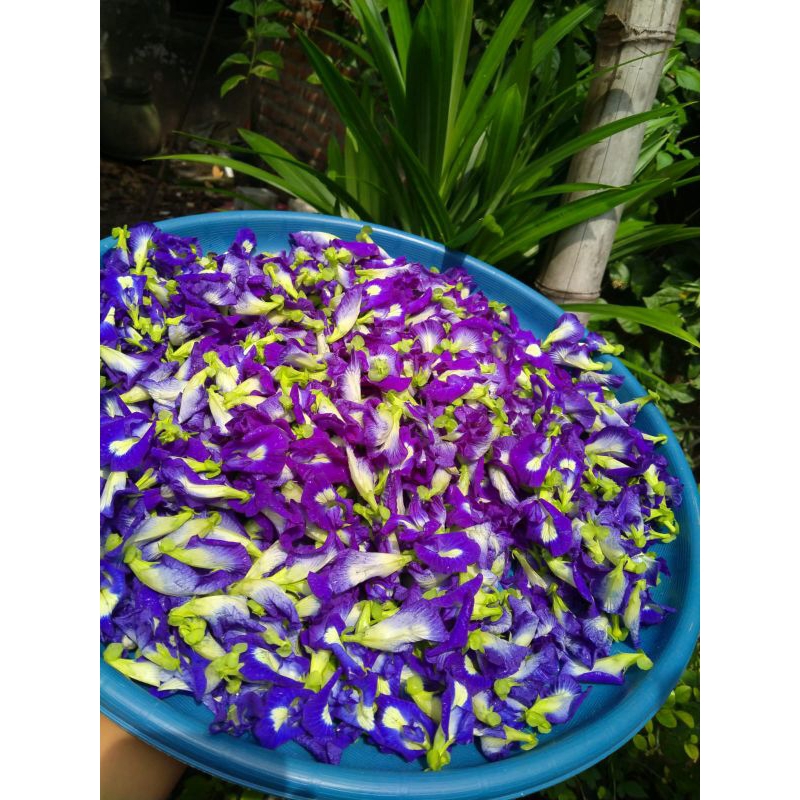 

Herbal Bunga Telang