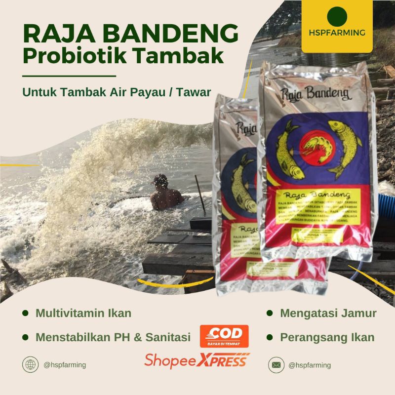 

RAJA BANDENG 2,5KG PROBIOTIK TAMBAK UDANG DAN IKAN AIR PAYAU/TAWAR