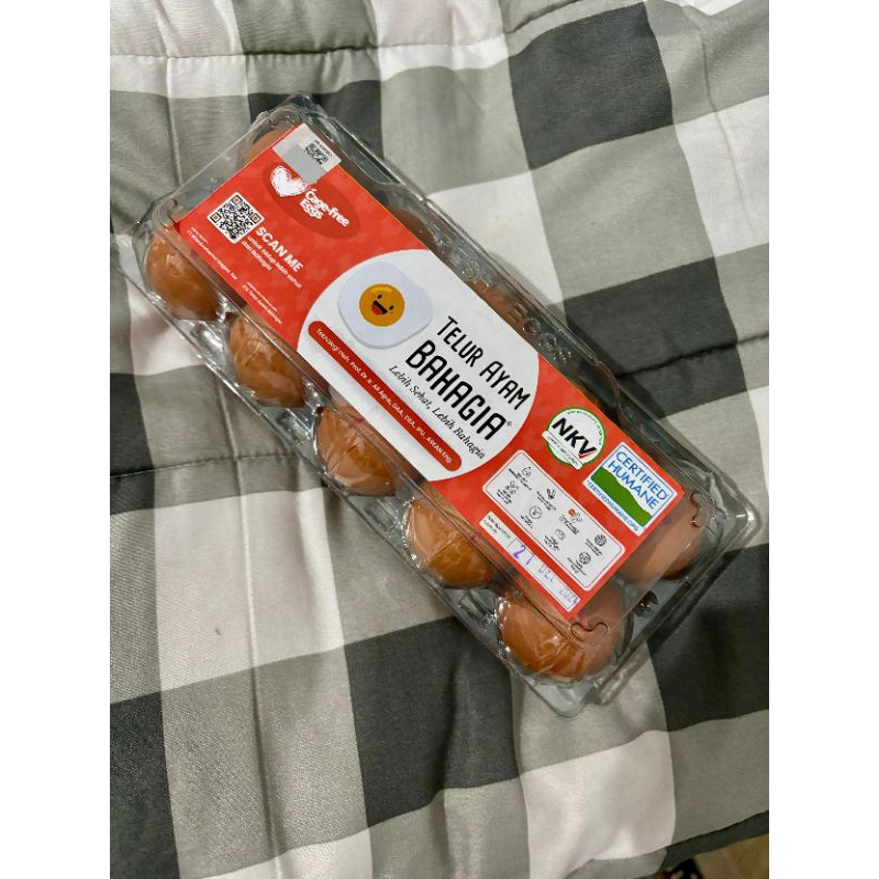 

telur ayam omega 10 butir