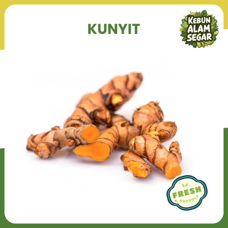 

PAKET KUNYIT SEGAR 1 KG Murah Alami
