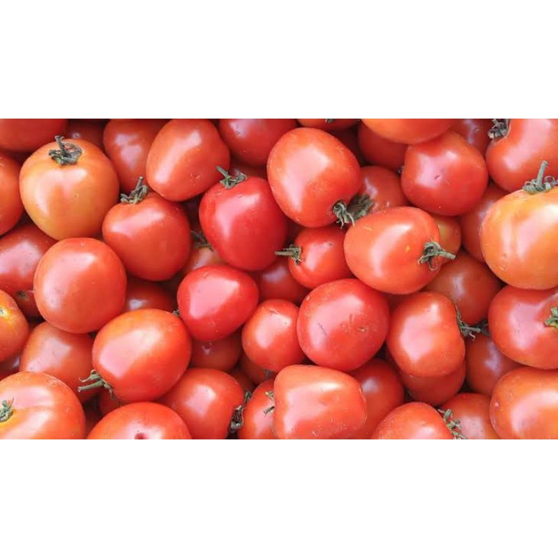 

tomat merah 250gram