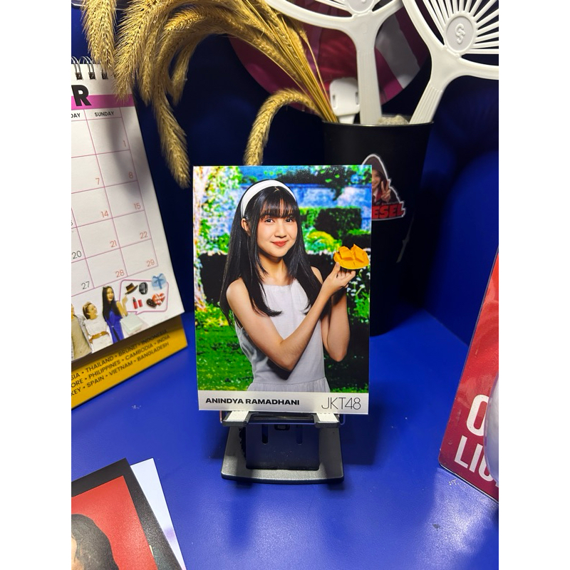 PP / Photopack JKT48 Road to Sousenkyo 2024 (RTS) Anindya Ramadhani (Anin)