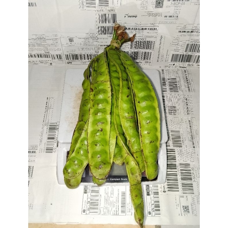 

Pete super dadakan 10 pcs / 10 lonjor / 10 papan