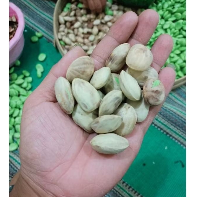 

Pete/petai kupas masih ada kulit ari/kulit dalam putihnya 1Kg