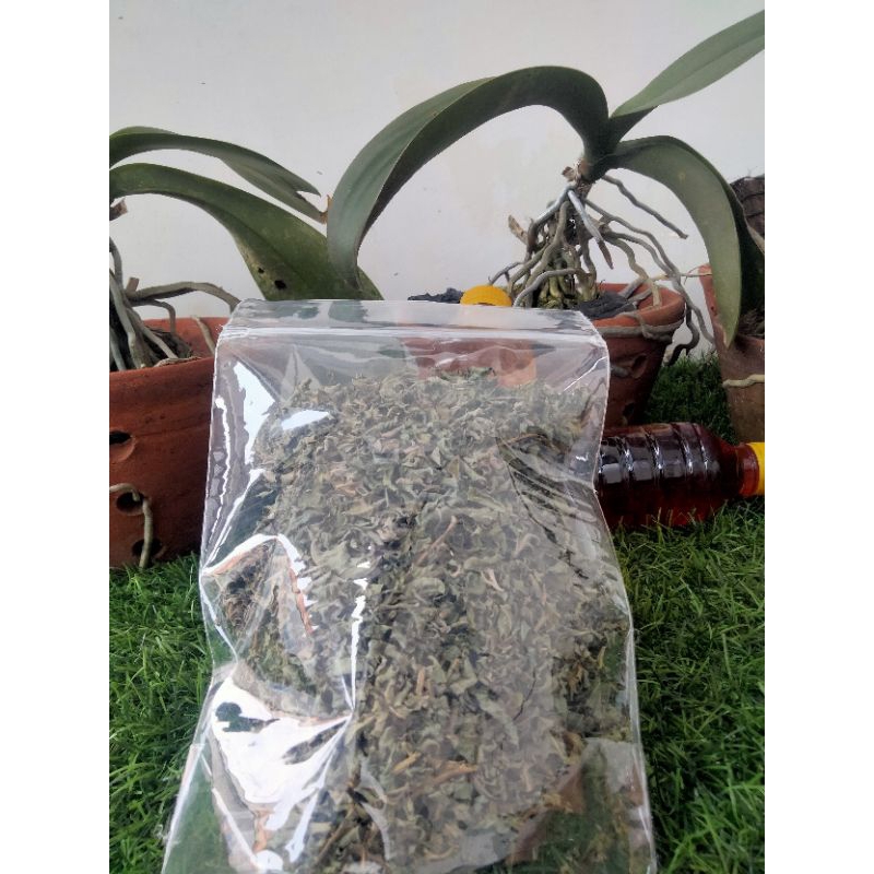 

TEH TUBRUK DAUN INSULIN(DAUN INSULIN RAJANG KERING)DAUN SERBAGUNA UNTUK KESEHATAN