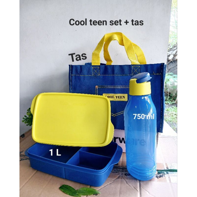 cool teen lunch box set tupperware