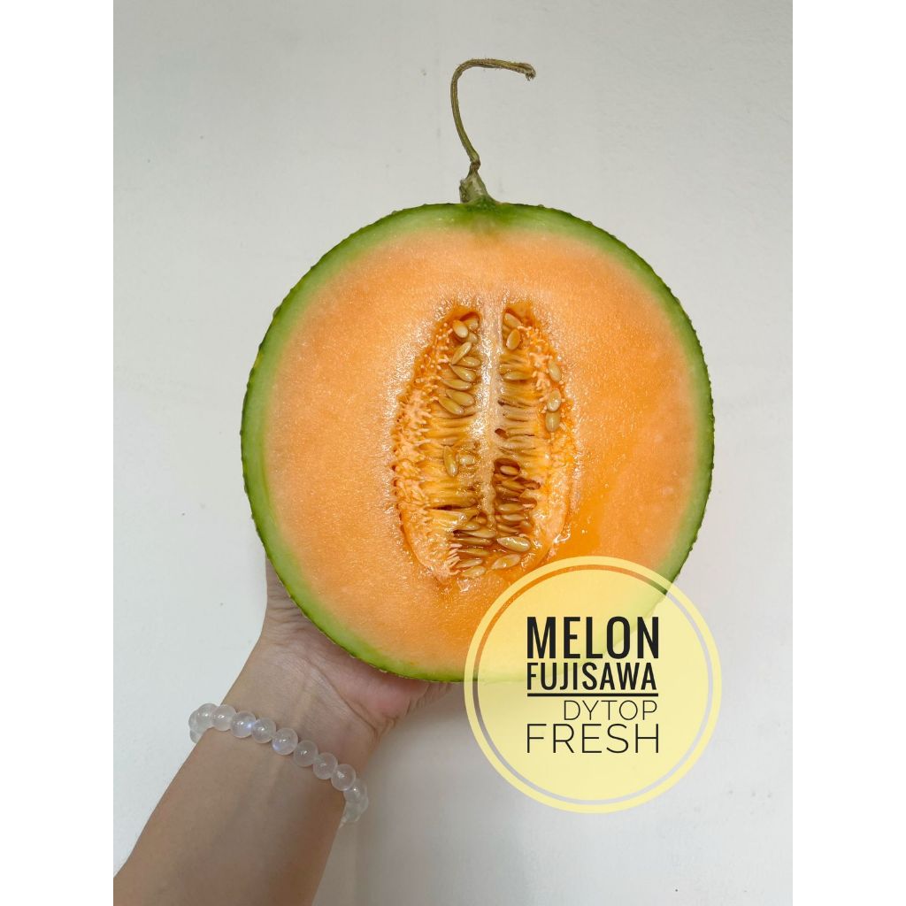 

Buah Melon Fresh Segar Manis Melon Oren Melon Fujisawa - Pcs